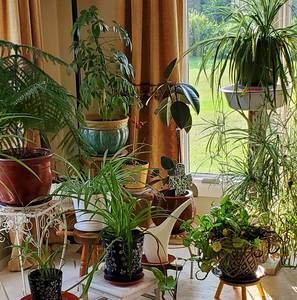 Meet your Posher, Mindy